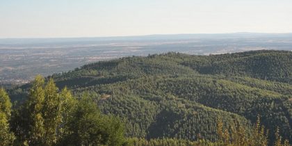 Newsletter n.º 10 do PROVERE + Serra d´Ossa – Recursos Naturais e Ecossistema