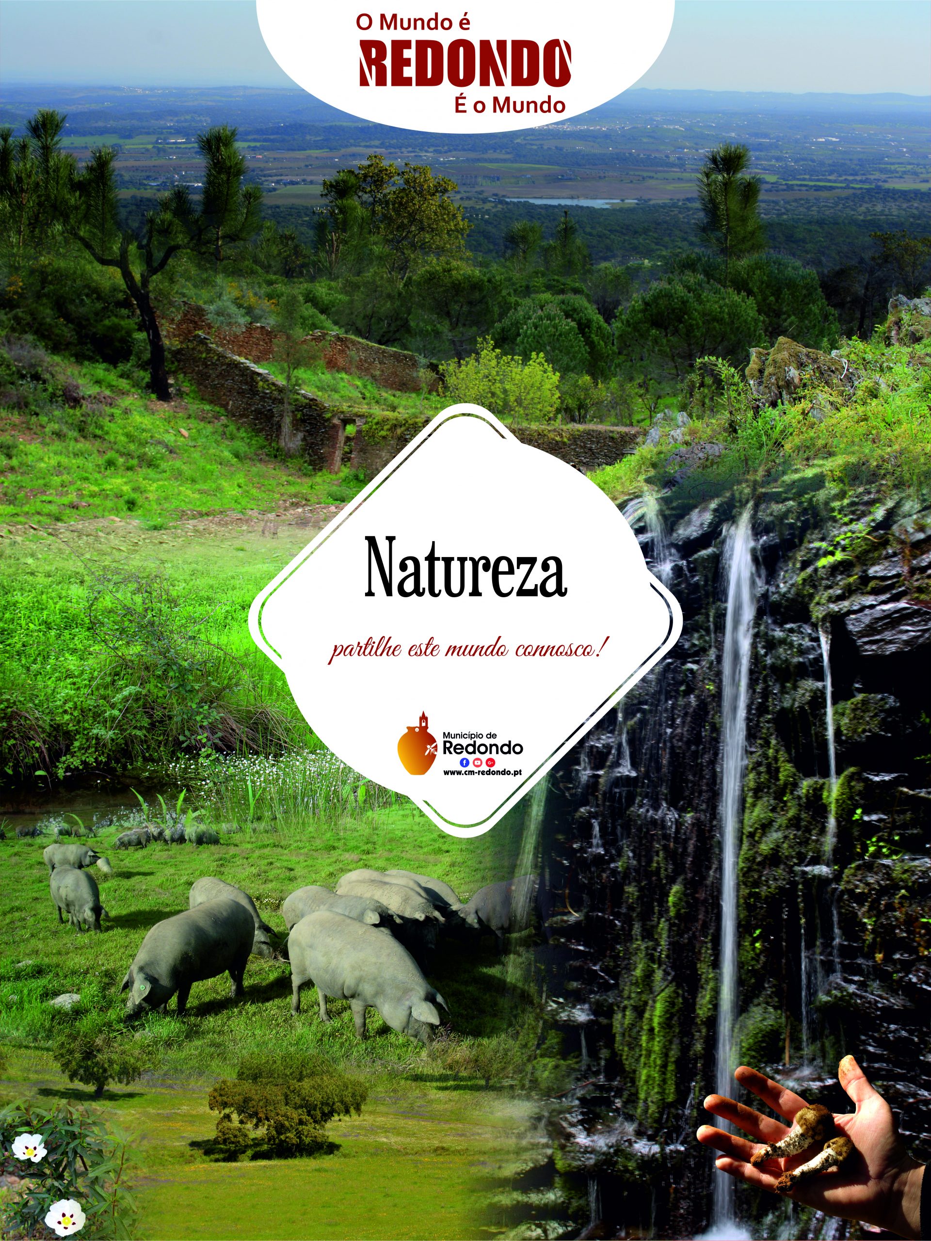 Turismo de Natureza