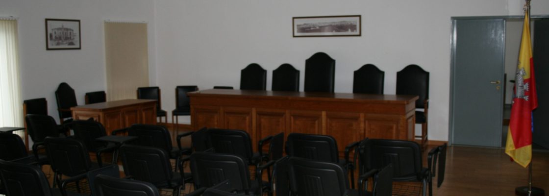 Assembleia Municipal (1)