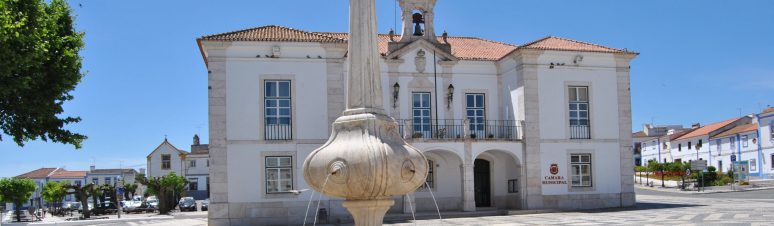 Câmara Municipal de Redondo (1)