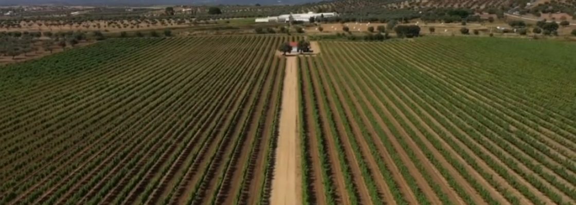 Redondo em destaque na rubrica “Vai dar uma curva” da TVI24