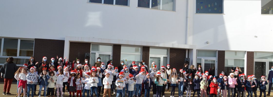 9 DSC_0246