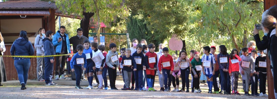 CORTA-MATO ESCOLAR: ALUNOS DO AGRUPAMENTO DE ESCOLAS DE REDONDO CORRERAM NO PARQUE AMBIENTAL