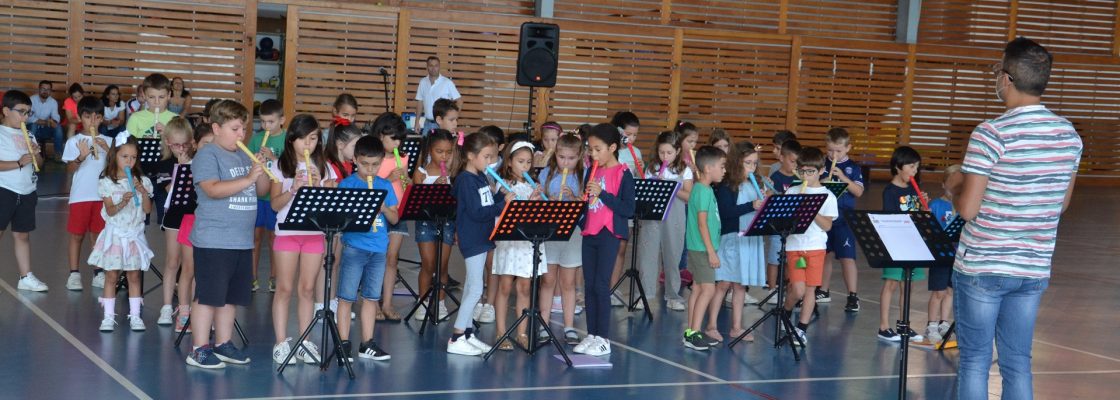 Festa de final de ano: Alunos do 1º Ciclo de Redondo mostram dotes musicais