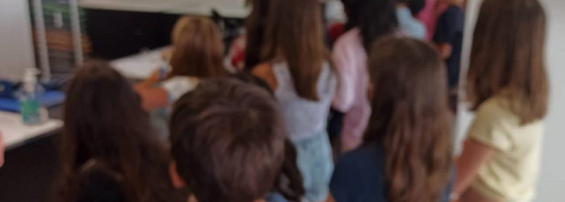 Vou para o 5º ano e agora?