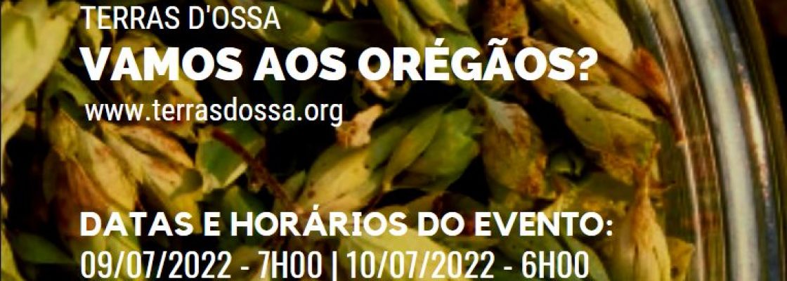 “Vamos aos Orégãos?” |09 e 10 de julho | Local de encontro: Miradouro da Serra d´Ossa
