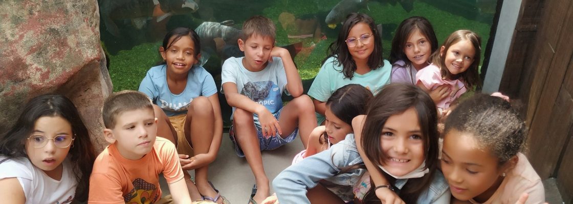 “Redondo em Férias” levou crianças do concelho à Praia Fluvial de Monsaraz e ao Fl...