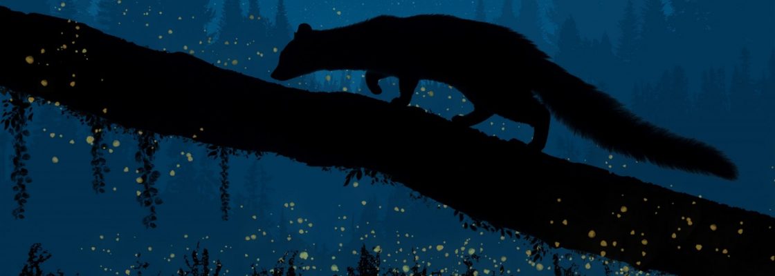 Noite das Criaturas das Trevas | 29 de outubro | 23h30 | Largo do Chana, Aldeia da Serra D’Ossa...