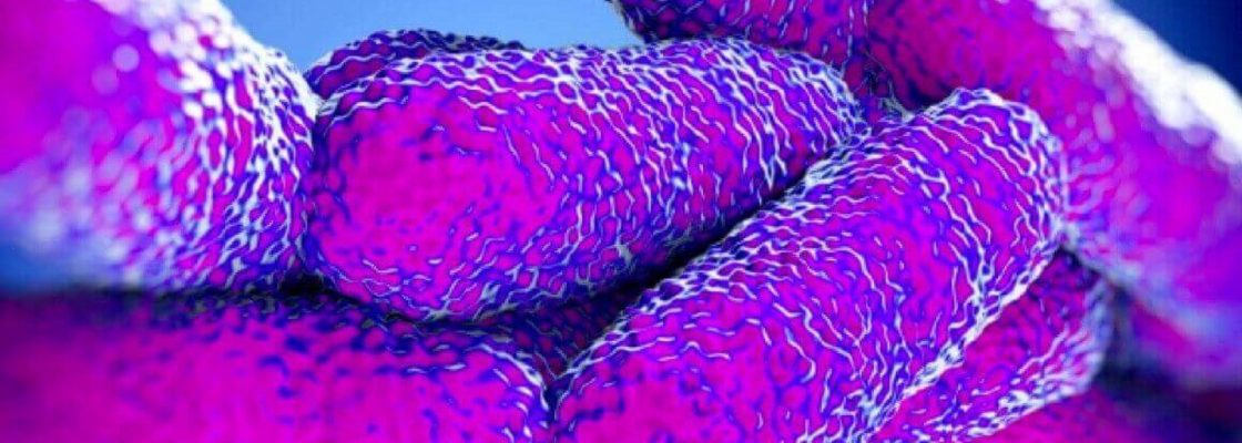 Comunicado | Legionella
