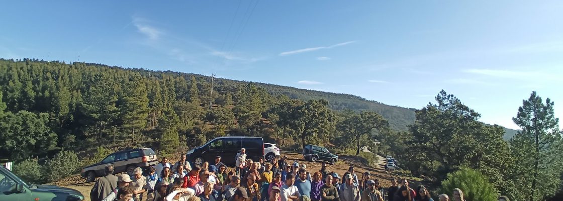 Serra D´Ossa acolheu Passeio Micológico