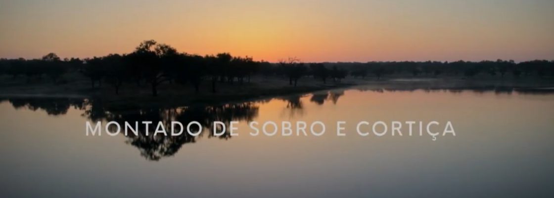 Montado de Sobro e Cortiça