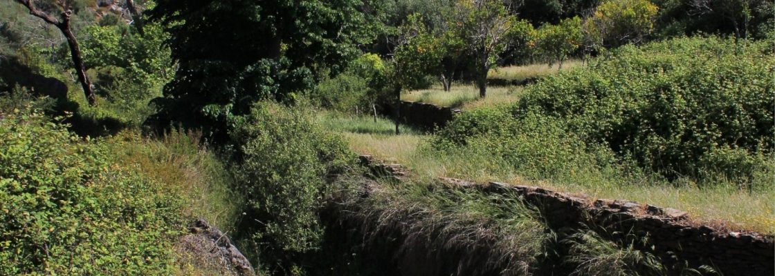 Passeio “O Poejo dos Eremitas” | 26 de fevereiro | 09h30 | Aldeia da Serra (Largo da ...