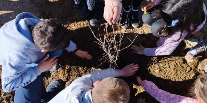 Dia Mundial da Árvore | 20 de março | 16h00 | Jardim do Centro Escolar de Montoito