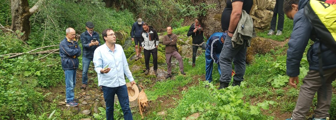 Passeio “Verdes são os Campos”