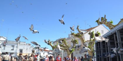 Leilão de Borrachos | 19 de julho | 11h30 | Pavilhão Multiusos de Redondo