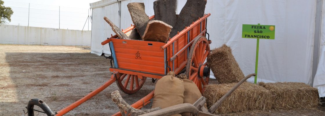 Surto de Língua Azul inviabiliza a Mostra Agro-Pecuária da Feira de S. Francisco