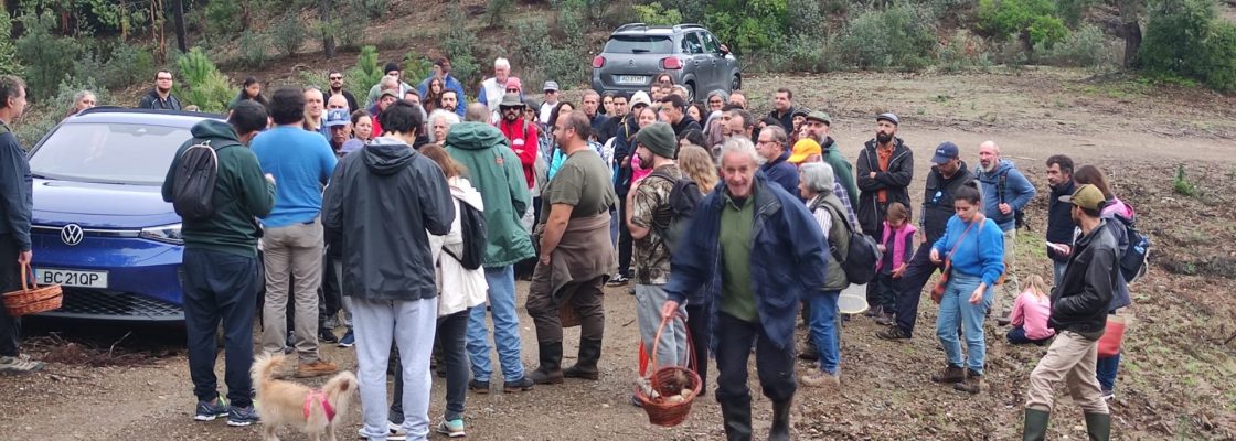 13º Passeio Micológico na Serra D´Ossa
