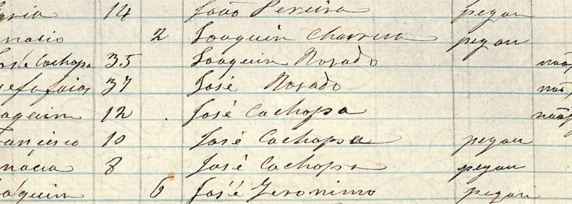 Fragmentos da História Local: A epidemia e a festa a S. Sebastião