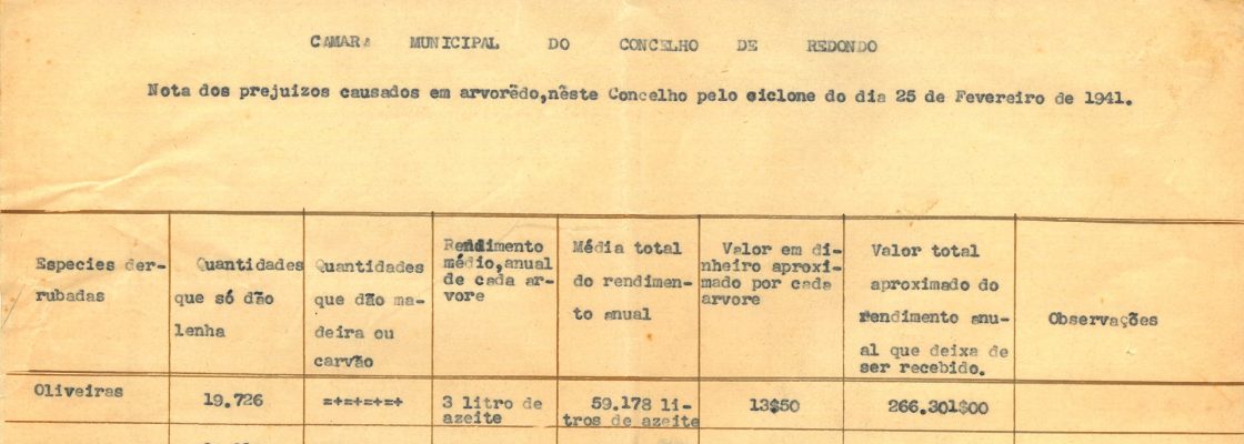 Fragmentos da História Local: O ciclone de fevereiro de 1941