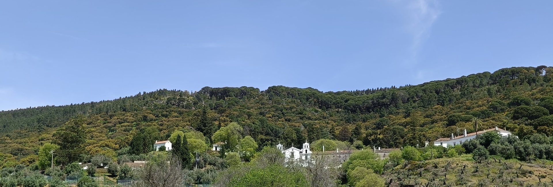 Passeio Verdes Campos 2024 (1) 1920