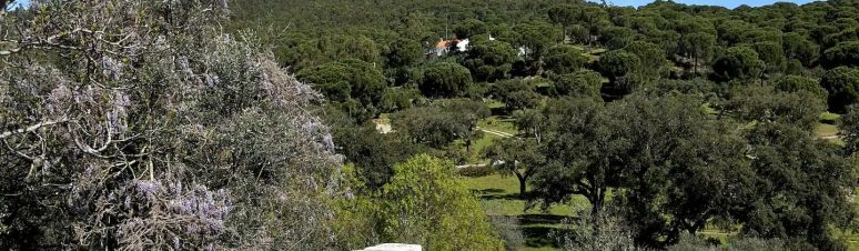 Monte dos Graves 8