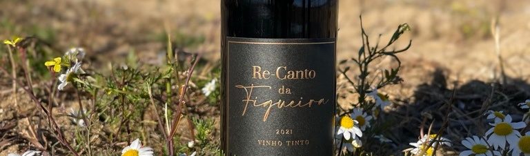 re-canto da figueira 4