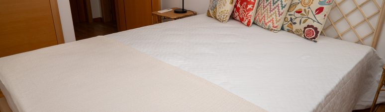 10052024-DSC_5004