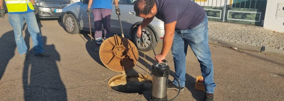 Desbaratização 4