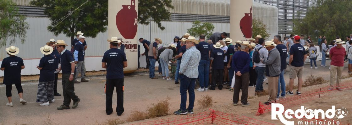 Festa da Malha celebra 30 anos com evento em Redondo