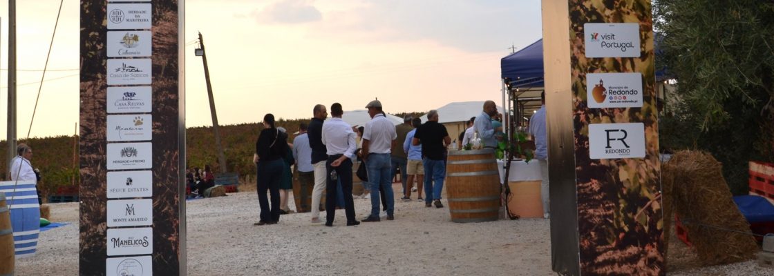 Redondo Wine Sunset