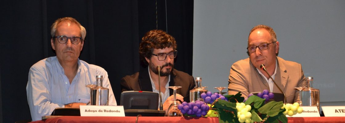 REDONDO DEBATEU DESAFIOS DA VITICULTURA NO TERRITÓRIO