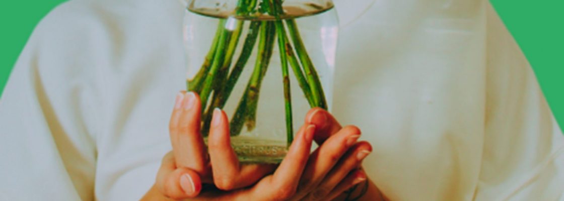 DECO | Lifestyle: Junte-se a nós na promoção de estilos de vida mais sustentáveis!