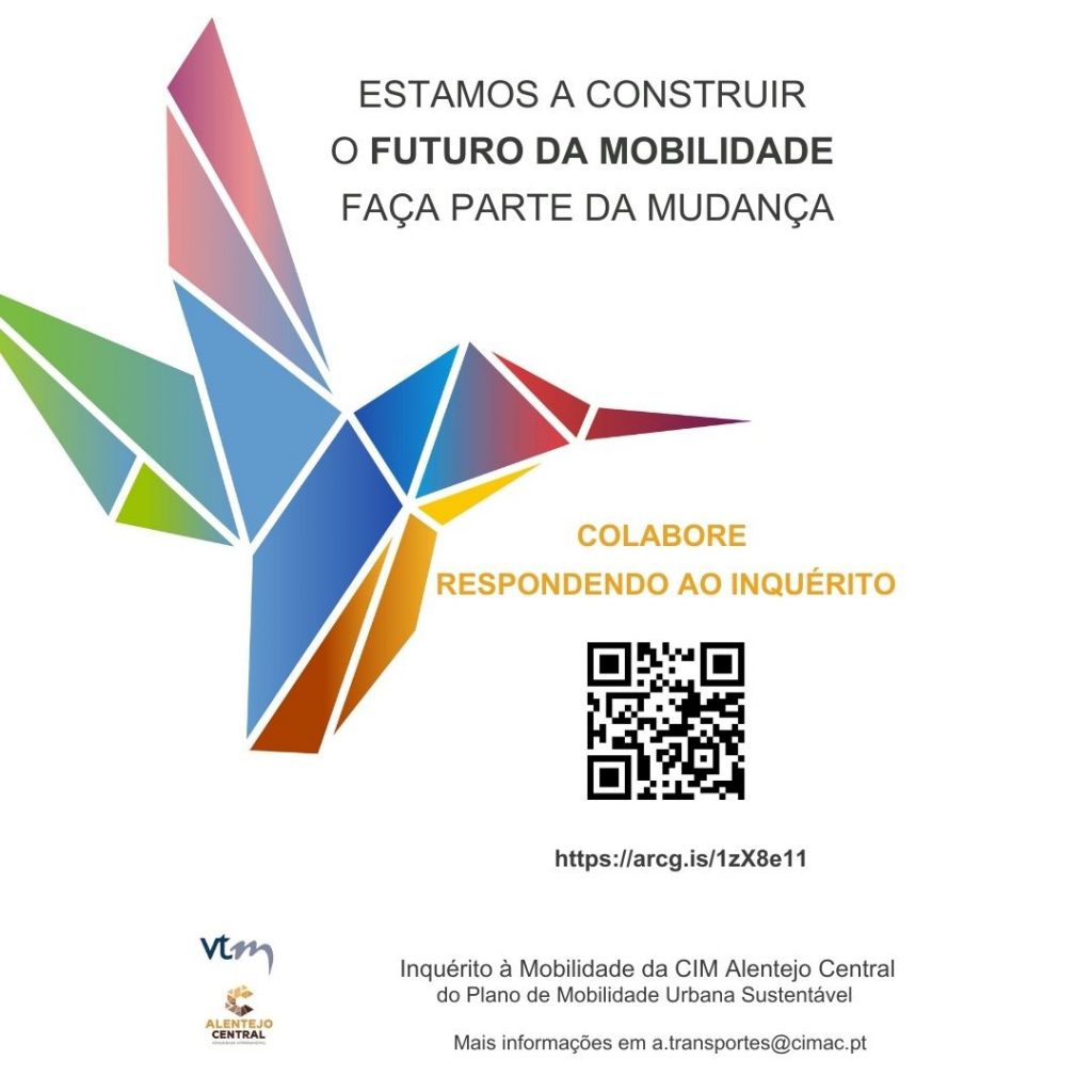 Inqu rito Mobilidade Na Comunidade Intermunicipal Do Alentejo Central 