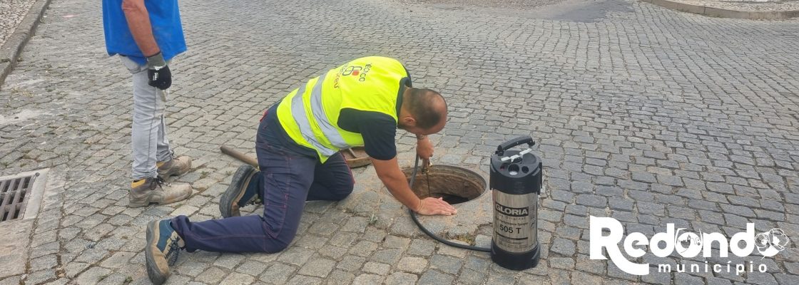 Redondo alvo de ações de desbaratização e desratização