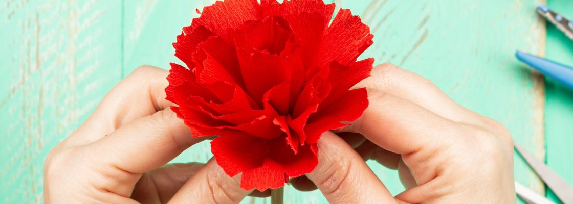Atelier de cravos em papel e quadras dos Santos Populares | dia 07 de junho | 15h00 | Biblioteca ...