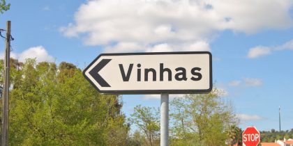 Festas das Vinhas: 11, 12 e 13 de julho