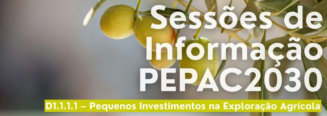 Sessão de informação PEPAC 2030: Redondo | 11 de novembro | 14h30 | Edifício da Assembleia Mu...