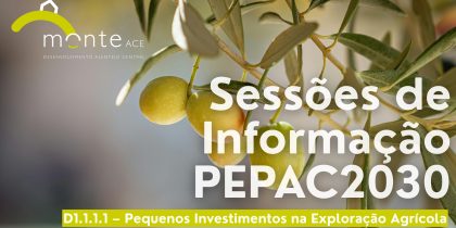 Sessão de informação PEPAC 2030: Redondo | 11 de novembro | 14h30 | Edifício da Assembleia Municipal