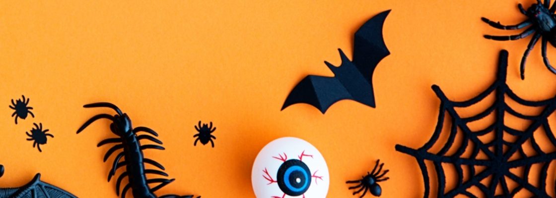 Festa de Halloween | 31 de outubro | 17h30 | Biblioteca/ Centro Lúdico de Montoito