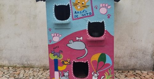 Município de Redondo reforça bem-estar animal com novo abrigo para colónias felinas