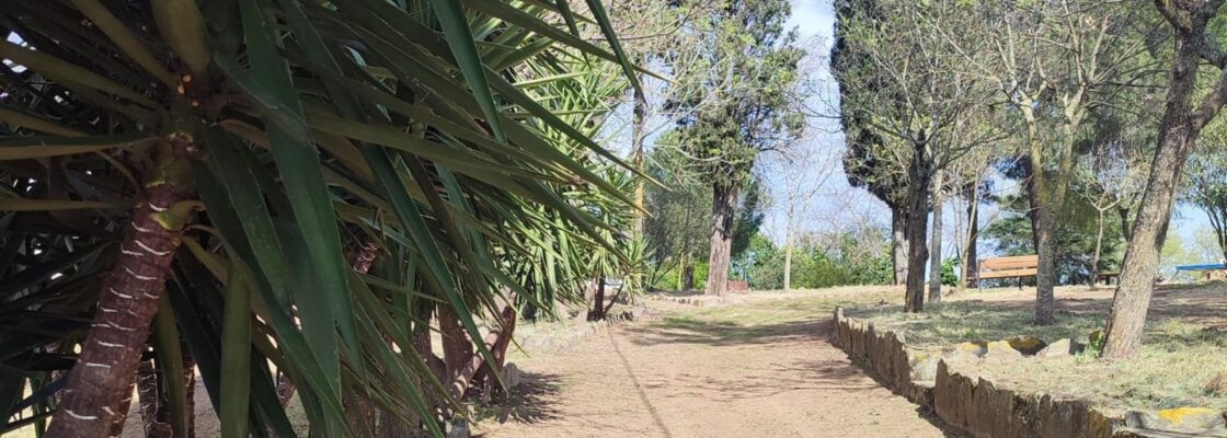 Limpeza na Mata no Bairro António Festas