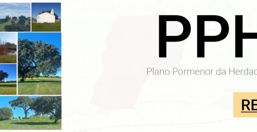 Prorrogação do Prazo de Revisão do Plano de Pormenor da Herdade da Palheta por mais 18 meses