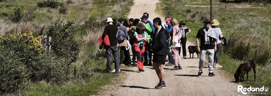 “Verdes são os Campos”