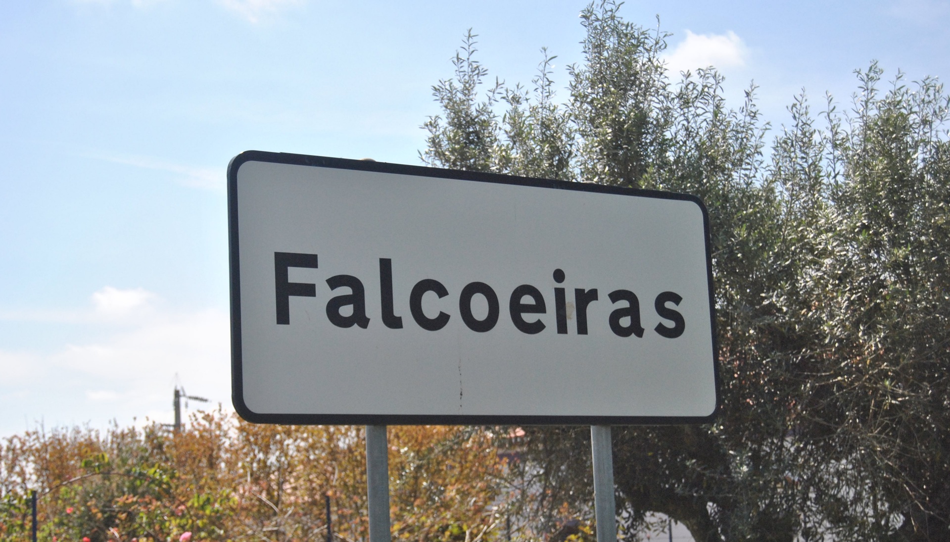 Festas de Verão das Falcoeiras | 17, 18 e 19 de julho