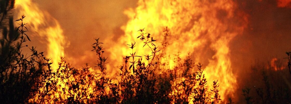 Programa Sub-Regional de Ação de Gestão Integrada de Fogos Rurais do Alentejo Central