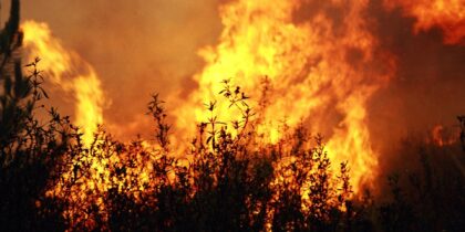 Programa Sub-Regional de Ação de Gestão Integrada de Fogos Rurais do Alentejo Central