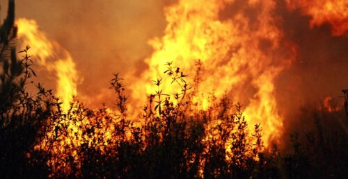 Programa Sub-Regional de Ação de Gestão Integrada de Fogos Rurais do Alentejo Central