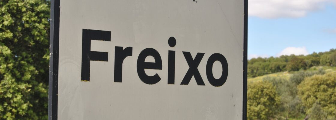 Festas do Freixo | 17, 18 e 19 de julho