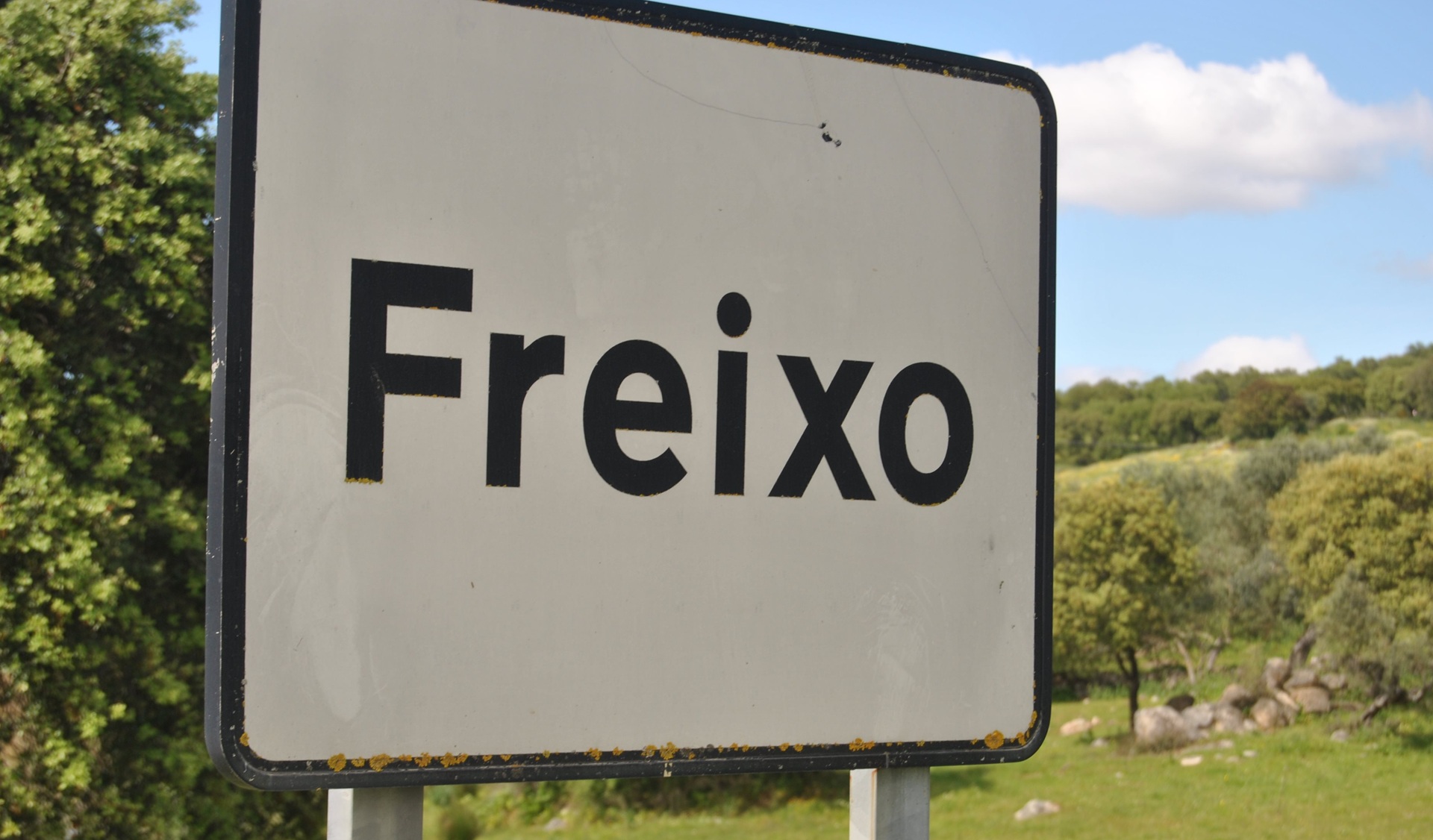 Festas do Freixo | 17, 18 e 19 de julho