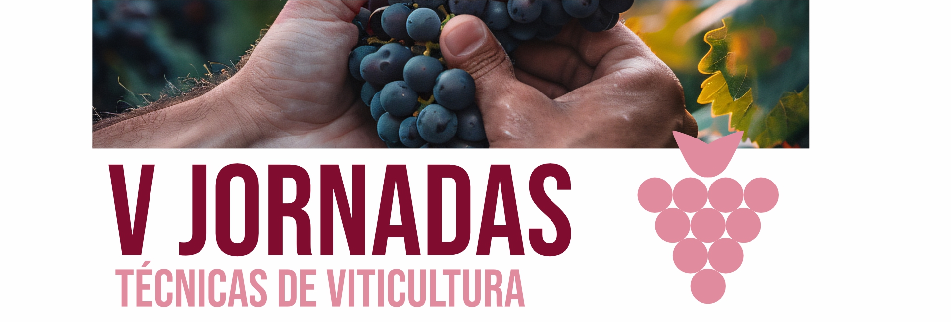V Jornadas Técnicas de Viticultura | 03 de outubro | 14h30 | Auditório do CCR